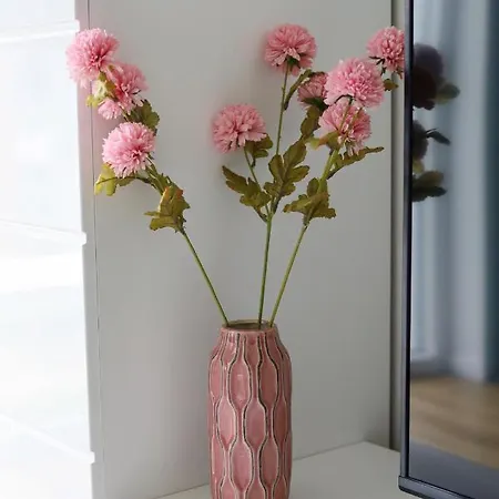 Capital Towers - Modern Z Widokiem Na Rzeke I Park Apartman Rzeszów